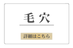 毛穴